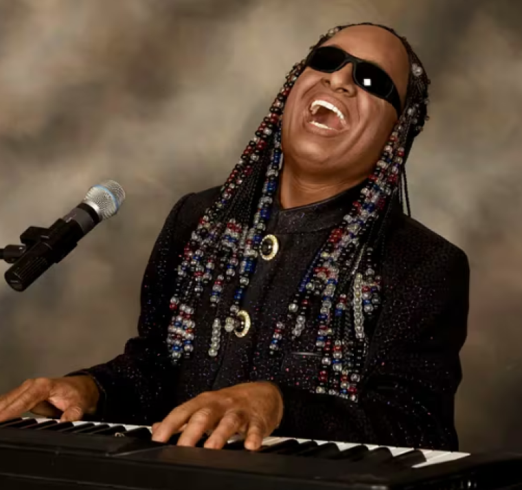 Cuál fue la canción que despertó a Stevie Wonder del coma 
